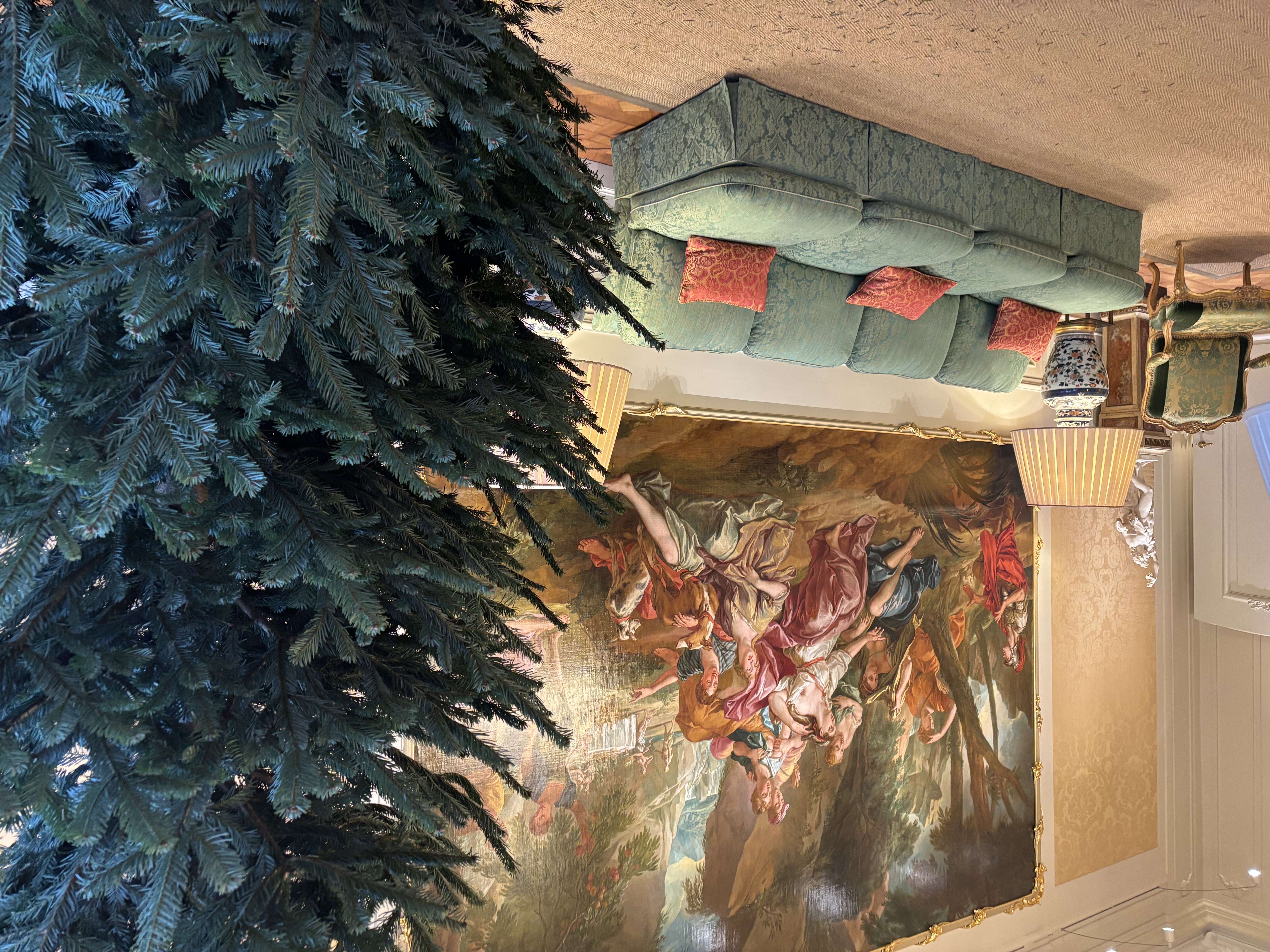 Nordmann 250-300 cm - foto 3