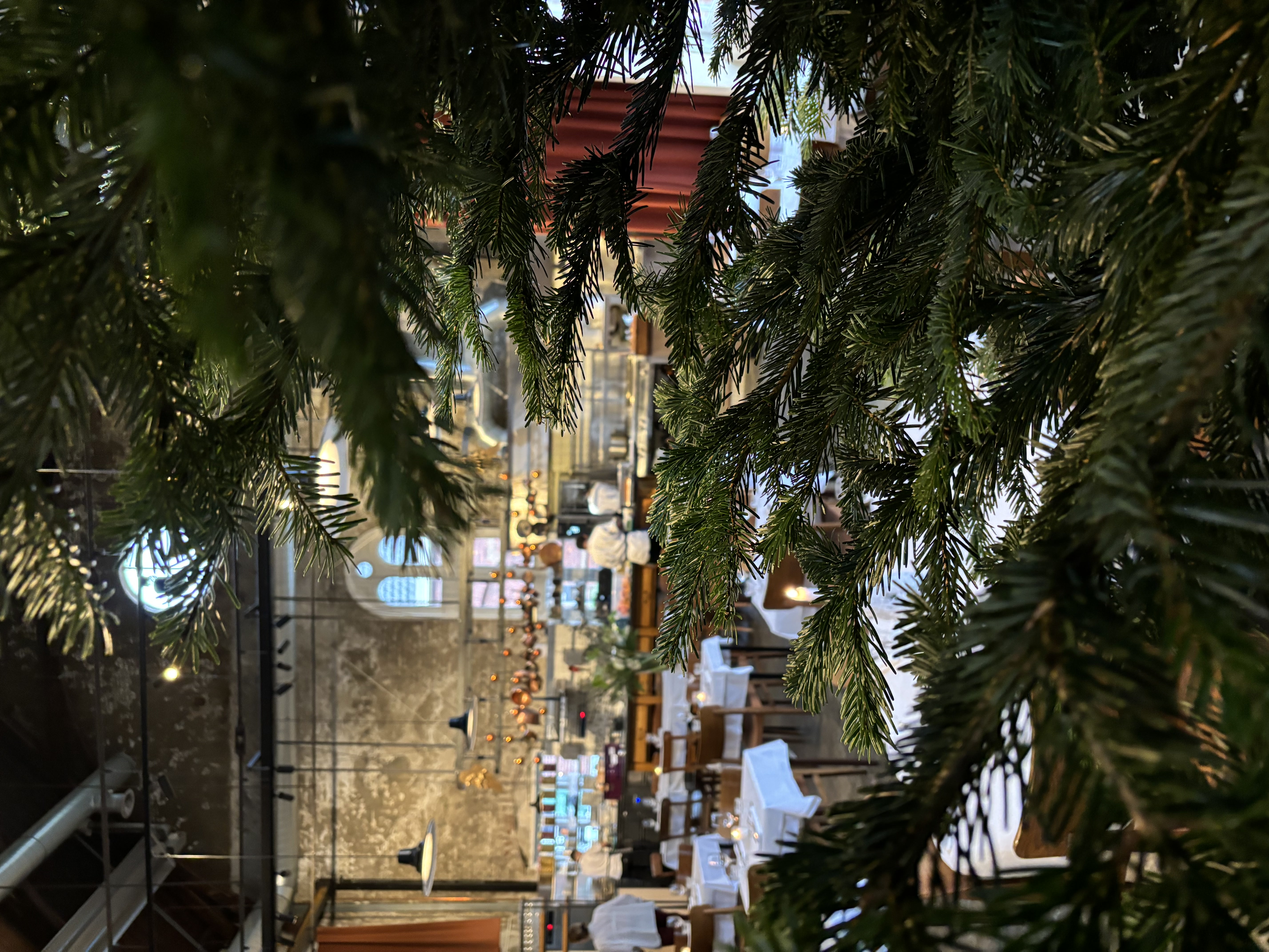 Nordmann 150-175 cm - foto 2