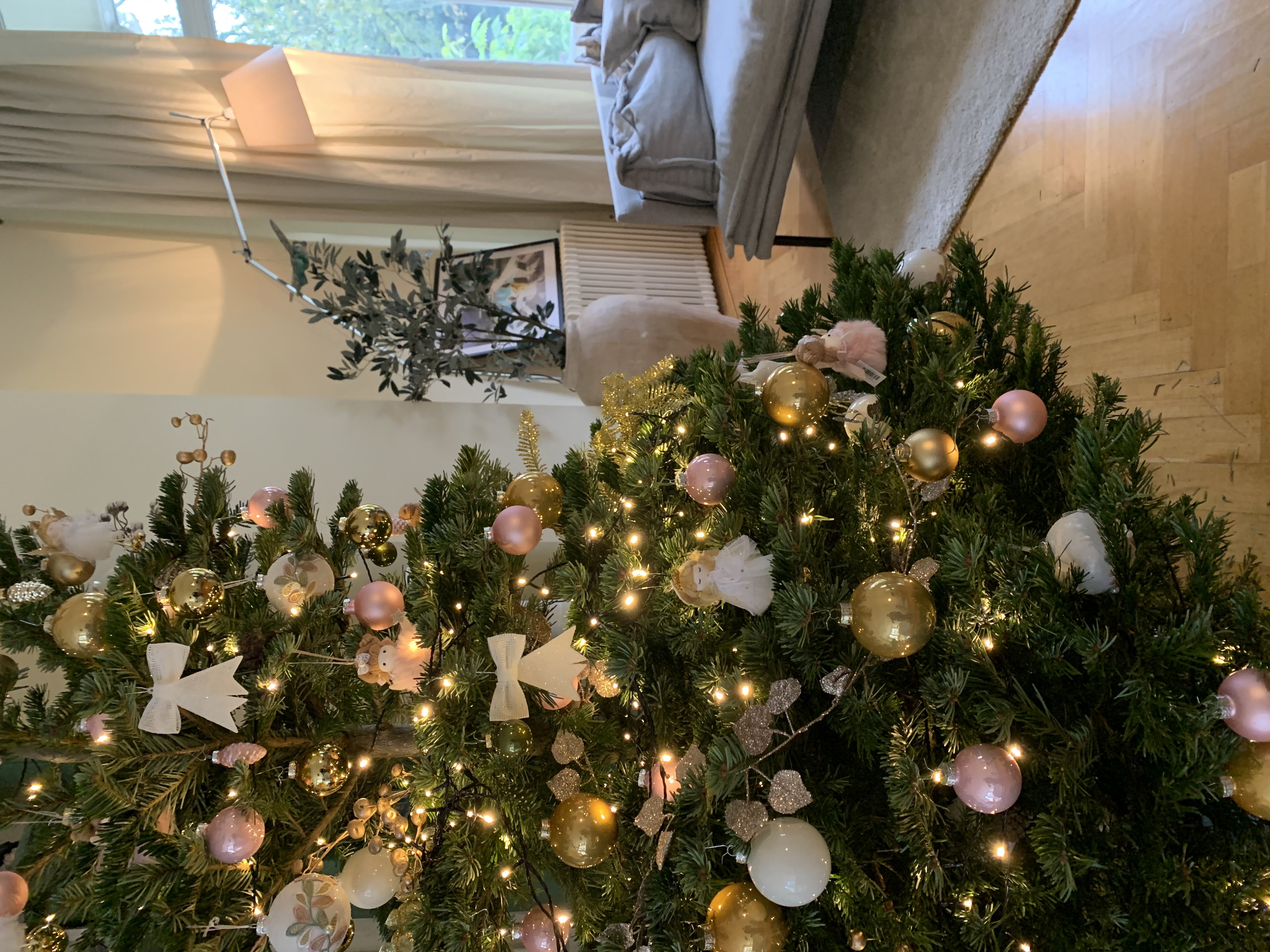 Tjalling's Kerstbomen Amsterdam