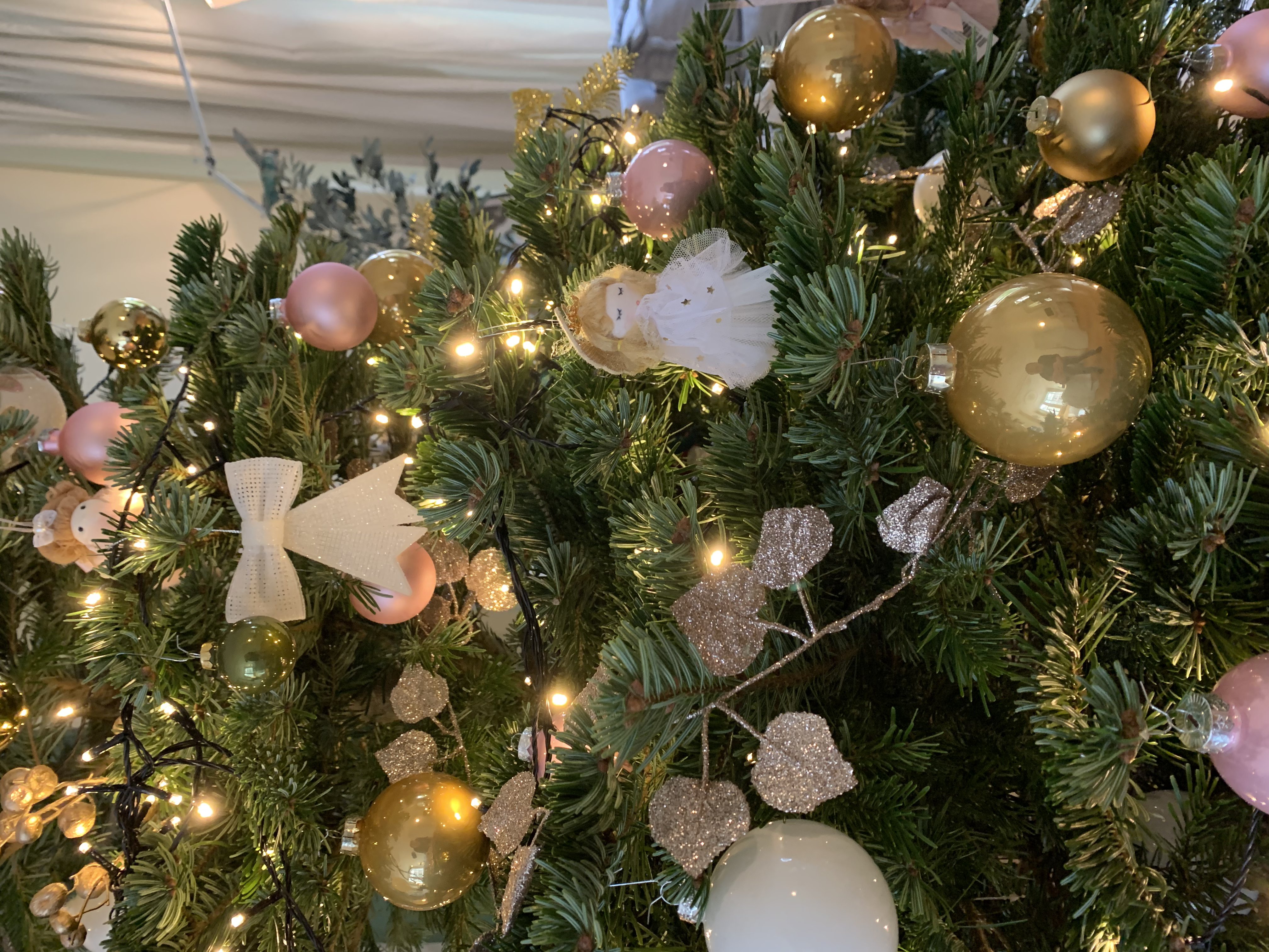 Tjalling's Kerstbomen Amsterdam