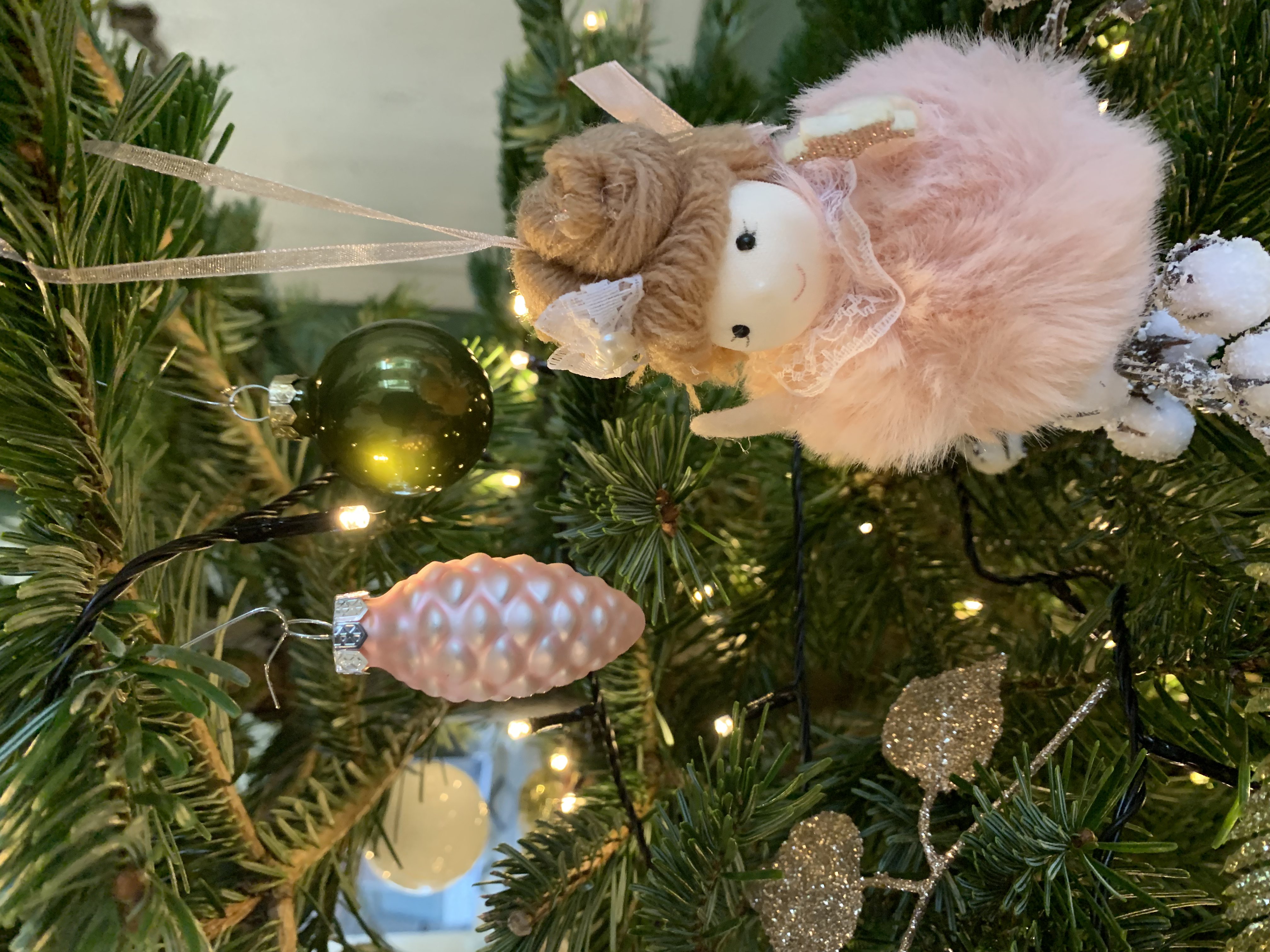 Tjalling's Kerstbomen Amsterdam
