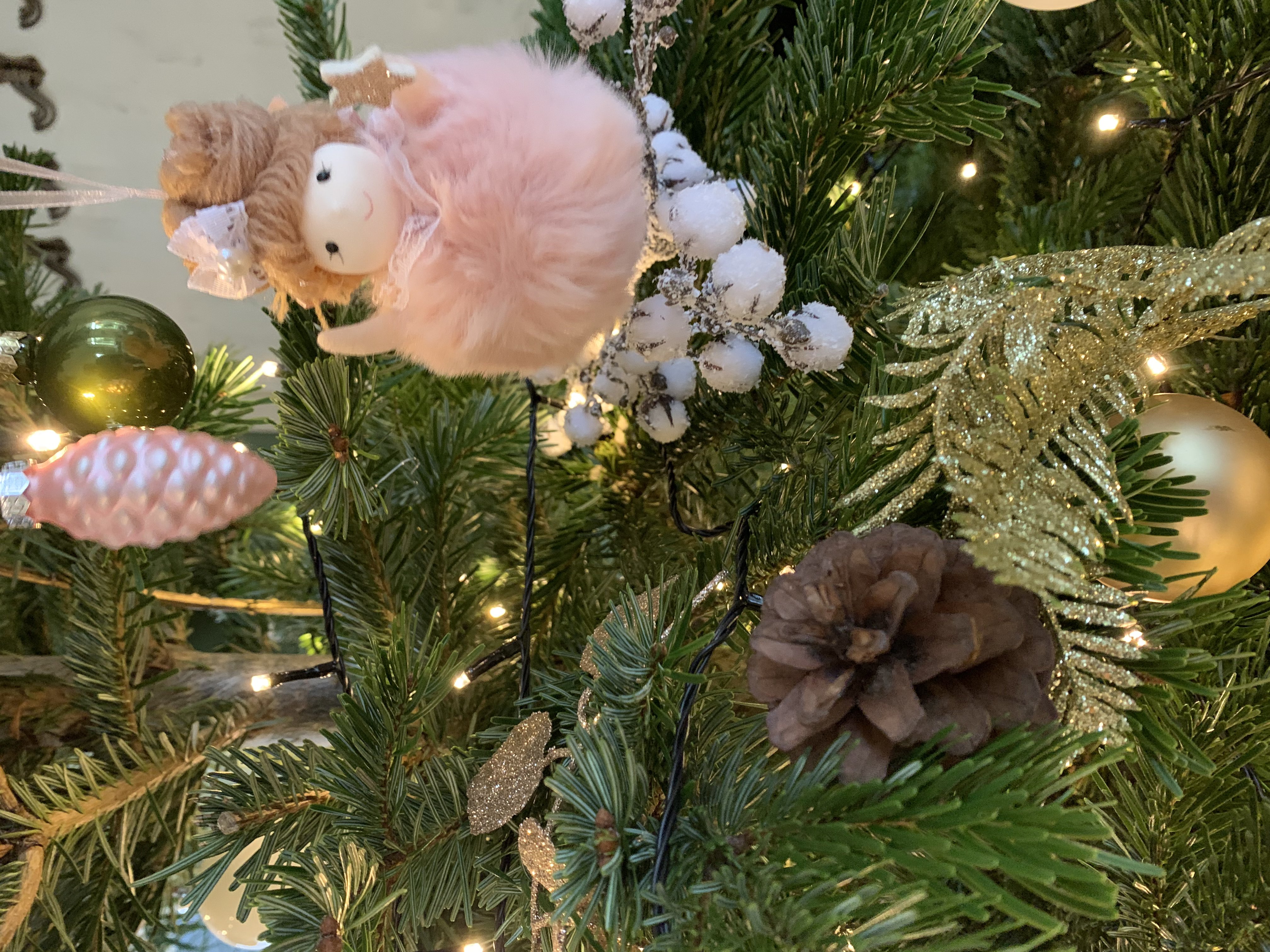 Tjalling's Kerstbomen Amsterdam
